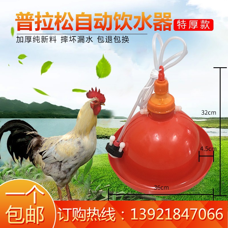速发超厚普拉松鸡自动饮水器喂水壶鸡鸭鹅加水壶养殖设备养鸡用品