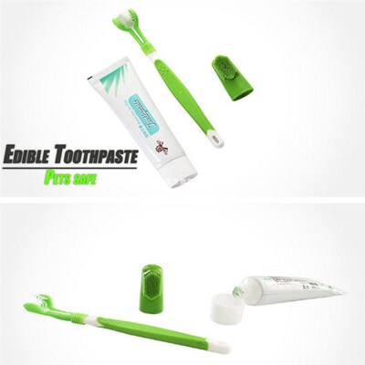 Dog Toothbrush And Toothpaste Best Oral Dental Care Fresh Br