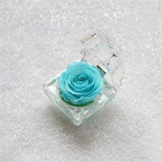 速发Multicolor Faion Micro Landscape Forever Rose Ring Box