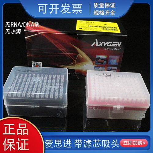 现货Axygen爱思进带滤芯吸头移液器盒装枪头无RNA/DNA酶无菌无热