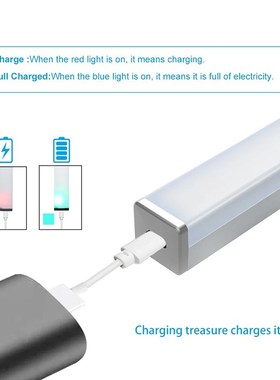 LED Light PIR Motion Sensor Wardrobe Light SB Rechargeable N