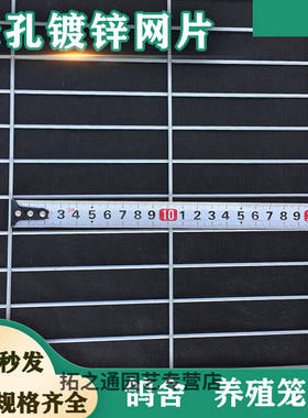 阙芊长孔镀锌f铁丝网片鸽舍围栏热浸镀锌钢丝网养殖加粗加密地网