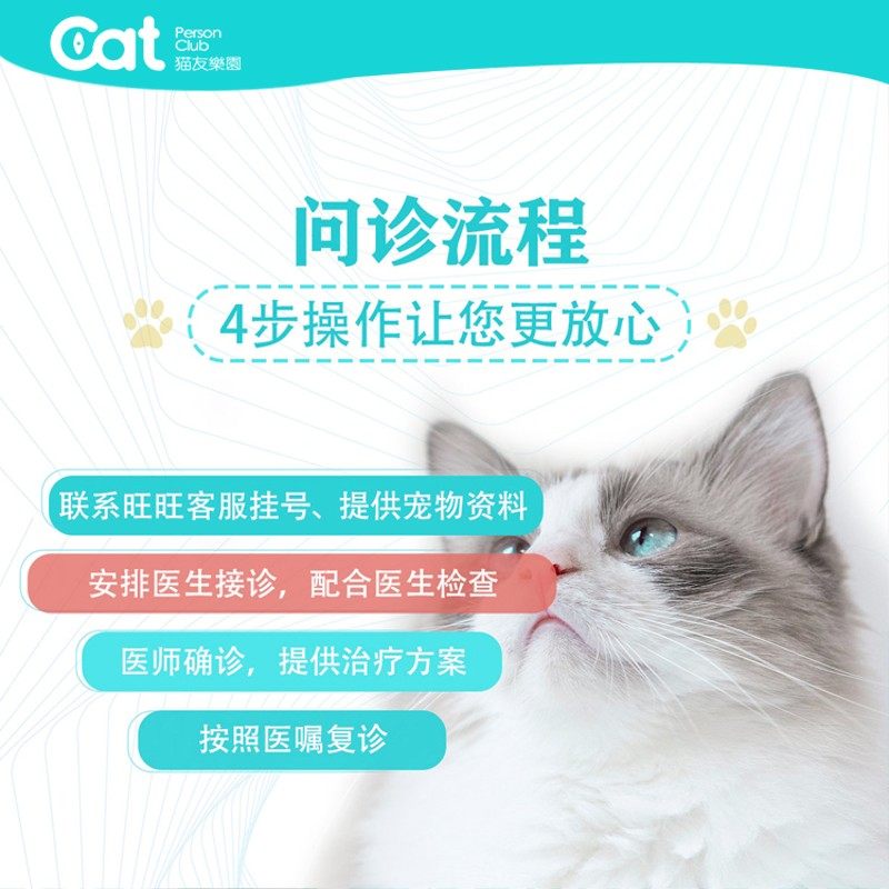 宠物医生咨询f看病兽医在线问诊口炎膀胱炎尿血驱虫猫鼻支杯状传