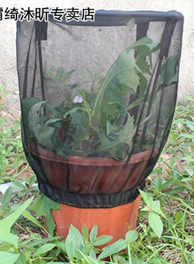 Butterfly Habitat Flower Pot Insect Feeding Net Cage Observa