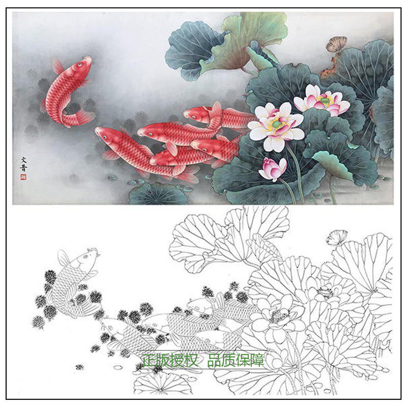 工笔画白描底稿於文普荷花鲤鱼实物白纸勾线打印稿尺寸可选-WP14