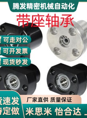 替代替代BFP31 32 33 34 36-6003 6203 6804 6904 6004-ZZ/VV/DD-