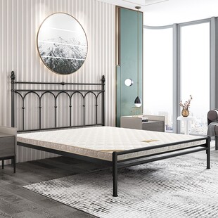 天坛家具铁艺床简约双人铁架床1.8米1.5m升级加厚三档可调铁床