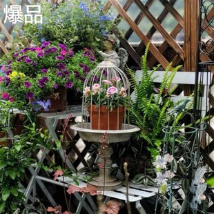 复古铁艺做旧花架吊蓝花鸟笼盆多肉灰色花架落地花架吊兰绿萝
