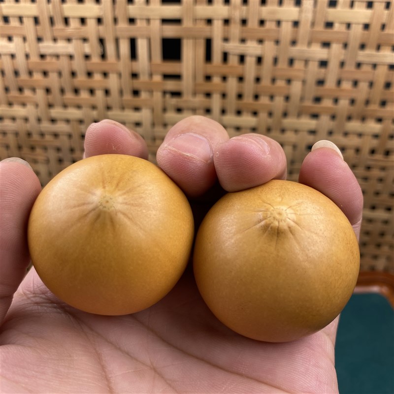 工厂销天然鸡蛋圆葫芦文s玩胖墩梨摆件挂件手把件梨形烙画雕刻八