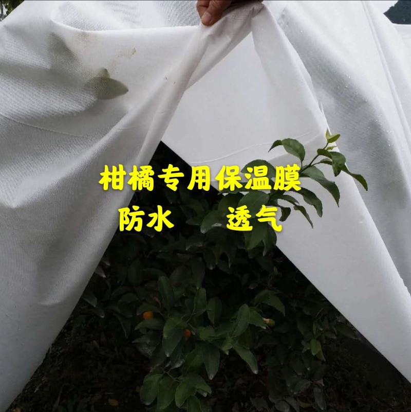 防寒布保温膜果园果树柑橘防霜冻防雨水透气抗老化大棚膜薄膜直销