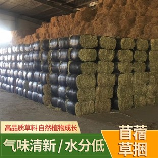 速发100斤 国产苜蓿草干草优质牛羊草料奶牛奶山羊草羊驼人气牧草