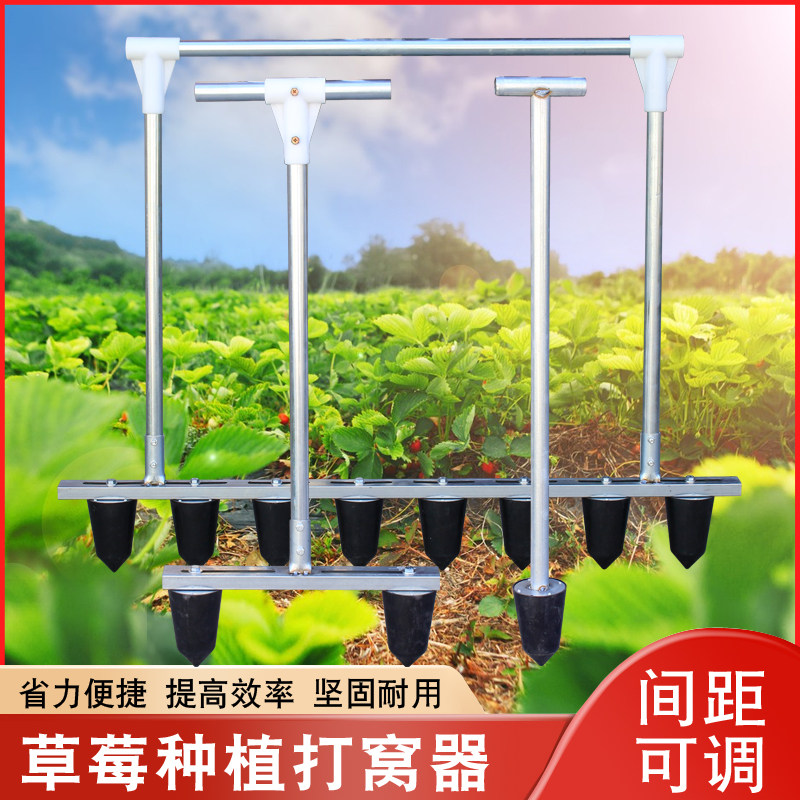 工厂销栽苗神器打孔机种植蔬菜打坑打眼农用N工具农业草莓移苗定