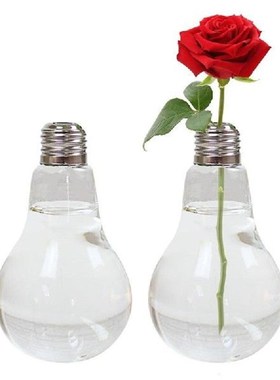 Desktop Glass Planter Light Bulb Flower Vase Glass Vase
