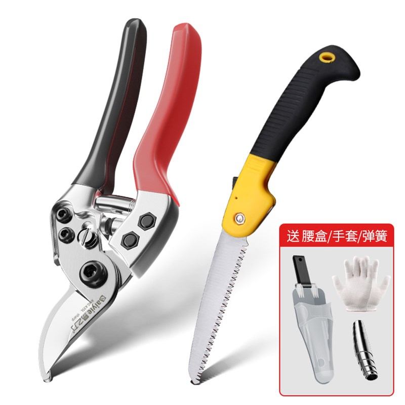 日本原装进口修枝剪园艺剪树枝专用剪刀艺园剪花剪树剪子果树花木