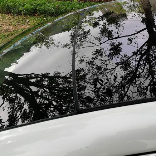 工厂销Wind Sealing Strip Duustproof Black 285cm Sunroof Nois