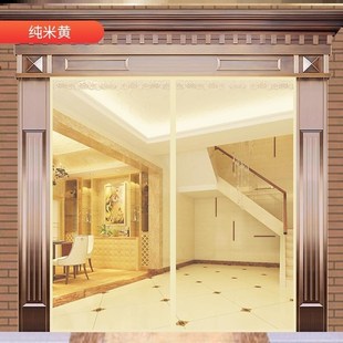 农村自建房R车库纱窗门磁吸对开 06YM夏天大门防蚊门帘家用夏季