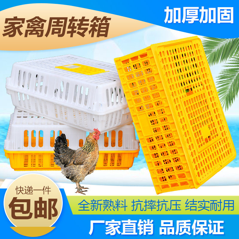 速发鸡笼周转箱鸡用运输筐成鸡成鸭鸽子运输笼雏鸡运输箱养鸡设备