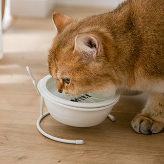 急速发货陶瓷猫碗高脚双碗猫盆狗盆饭碗狗碗宠物猫咪饭碗防打翻猫