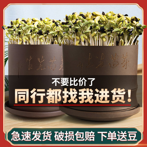 紫砂家用豆芽机豆芽罐桶发豆芽神器豆芽菜花生芽发芽盆豆芽培育器