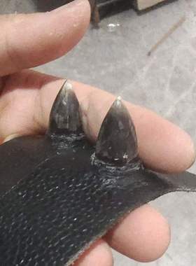 斗鸡假拐用品提篮保温笼沙袋脚套嘴套白色水杯鬼子鸡黑色食碗护具