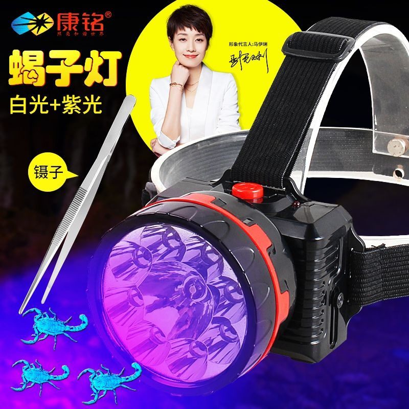 新品康铭照蝎子灯专用q灯强光头戴式手电筒可充电两用超亮紫光超