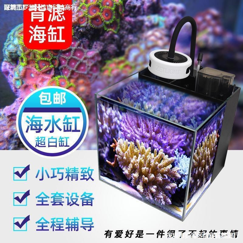 水母客厅缸创意世界观赏缸超白水上小海桌面全套家用海缸背滤方