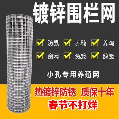 热镀锌小孔铁丝网养殖菜园围栏网防鼠网鸡鸽兔笼电焊网阳台防护网