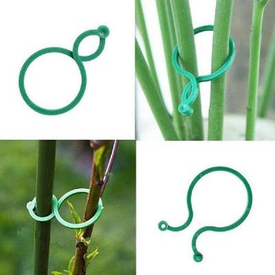 50pcs Plant Climbing Wall Ftxed BuckleeLHook Fasien r Tied