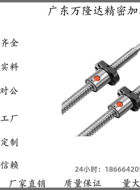 滚珠丝杆BSWE BTWE0802 1002 1204 1210 1510 1516 1520 1605替代