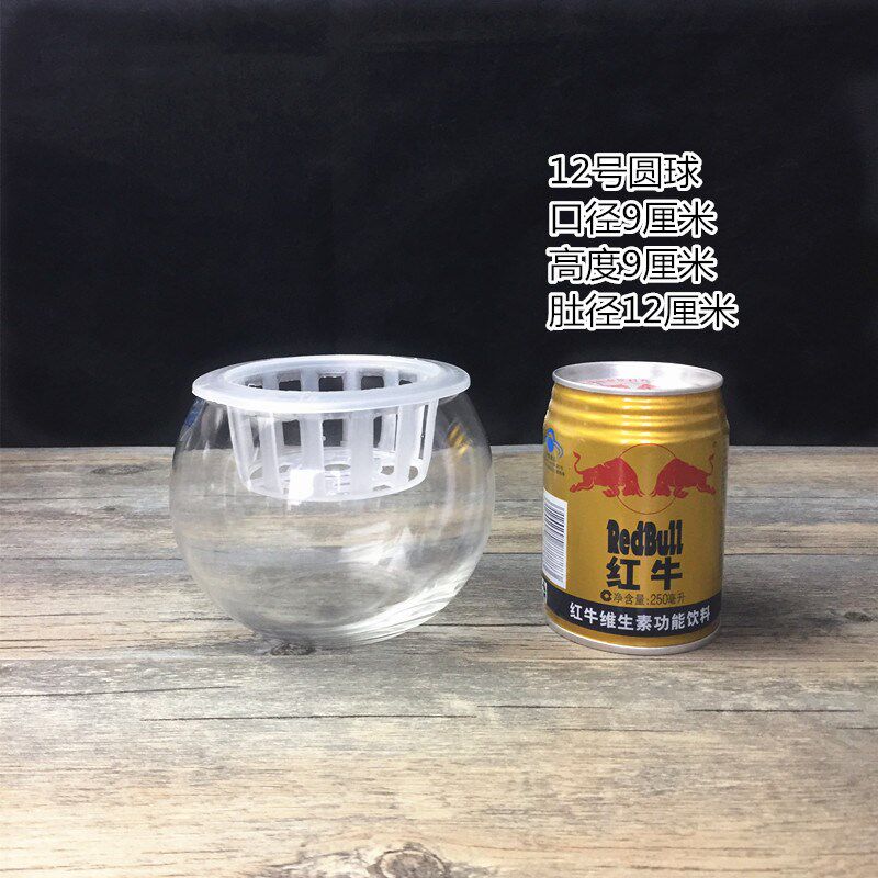 小众高货玻璃花瓶透明圆球龙蛋绿萝吊兰圆形花盆水培绿植器皿鱼缸