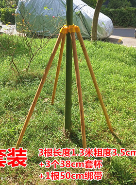 沈阳市杆 乔木防风固定器 y园林稳定支架 黄绿色塑料套杯绑带