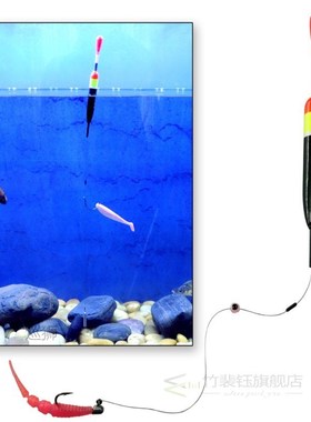 5 pieces/lot Fishing Slip Float 15g 10g 5g Slip Bobber Rigs