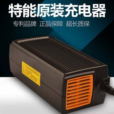 特能充电器三代新款原装智能断电大功率48v60v20ah64v72v96v王派