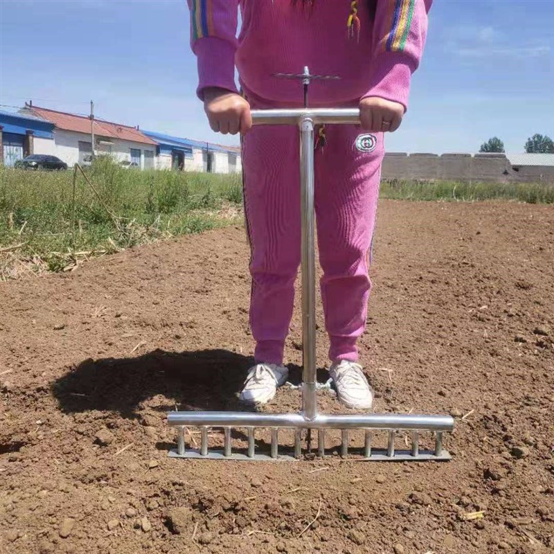 栽葱神器栽葱栽苗器打眼大葱叉子A自动打孔工具洋葱种菜移栽移苗