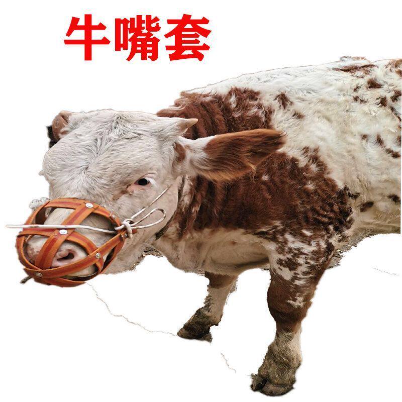 母猪防咬套猪嘴套猪脖套牛马嚼子嘴套猪笼嘴猪嘴笼防咬猪仔