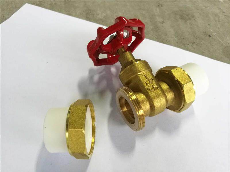 ppr双活接闸阀水pe 活接开阀门止水阀自来n水关 全铜截止阀管配