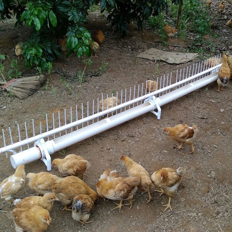 鸡用饮水器全自动喂水新款鸡喝水的养鸡鸭鹅鸽子家禽水壶喂水器