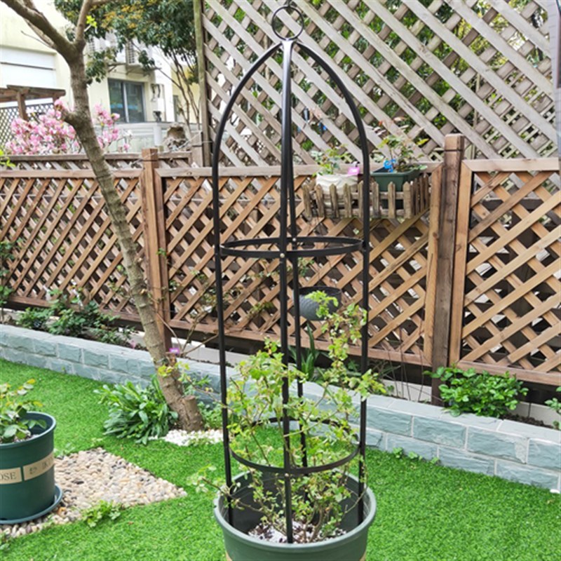 小众高货铁艺柱形藤本铁线莲月季花架爬藤架玫瑰飘香藤花盆支架植