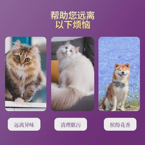 赛大桶宠物除臭液狗狗除臭剂祛味拖地室内狗猫除臭恩斯20l用品