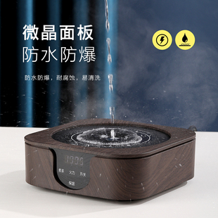 璃韵堂电陶炉煮茶器家用迷你小型电磁炉煮黑白茶玻璃蒸茶养生壶保