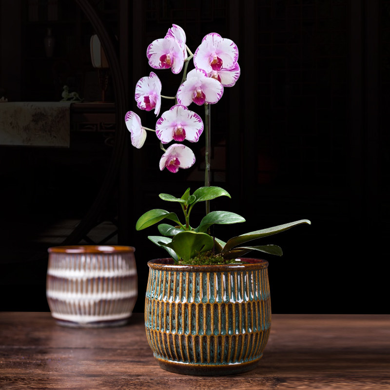 花盆陶瓷多肉老桩造景桌面中国风专用植物圆柱形盆景盆个性兰花草