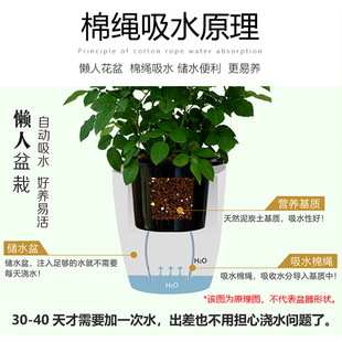 加厚耐用大号花盆幸福树月季花金钱D发财树白色盆景花盆客厅种绿