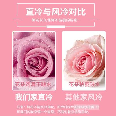 鲜花保鲜柜花店专用鲜花冷藏保鲜柜展示柜风冷无霜花艺冷柜冰柜冰