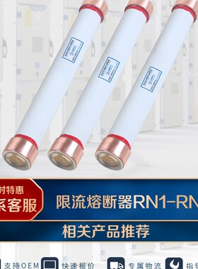 RN1-10/0.5A高压限流熔断器熔管RN2-40.5/0.5A高分断能力RN3系列