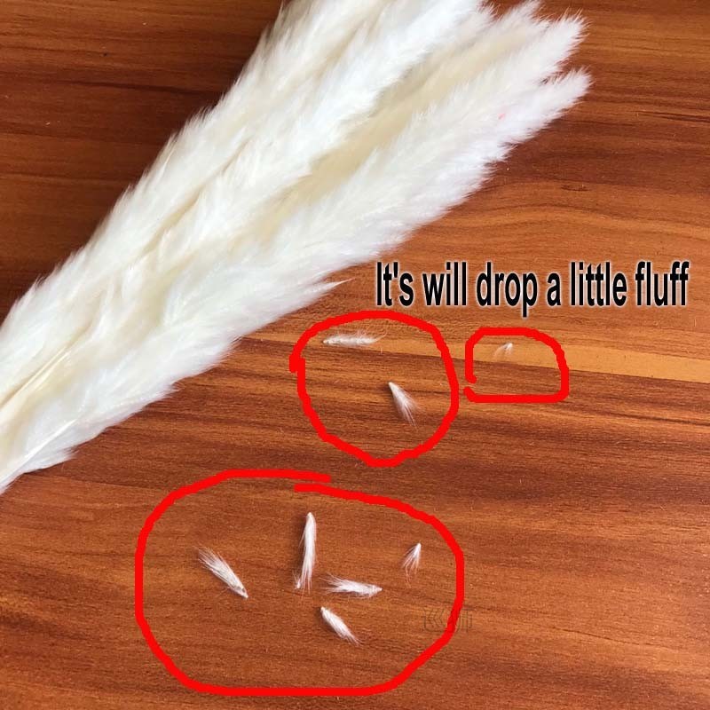 30PCS/Length 42-50CM Real Dried Natural Grass Reed Flower,Dr