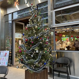 真圣诞树云杉树实木花箱阳台室内花箱户外庭院种植花盆长方形花槽