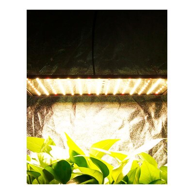 Indoor Led 1000W 3500K Grow Light Panel Full Spectrum Phyto