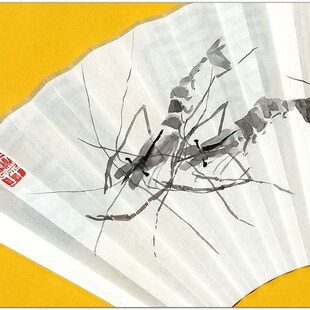 仿齐白石画 手绘水墨虾扇面 六只虾扇子 9/J95寸9.5寸18方摺扇定