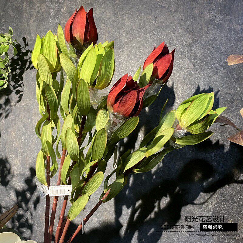 仿真木百合非洲百合花样板房婚y庆装饰 插花花艺配花 手捧花花材