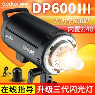 III专业摄影棚影室人像模特广告静 现货速发神牛摄影灯DP三代600W